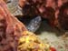 Por_Edgardo_Olivera_IMAG0011